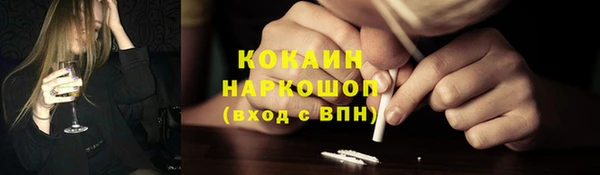 твердый Арсеньев
