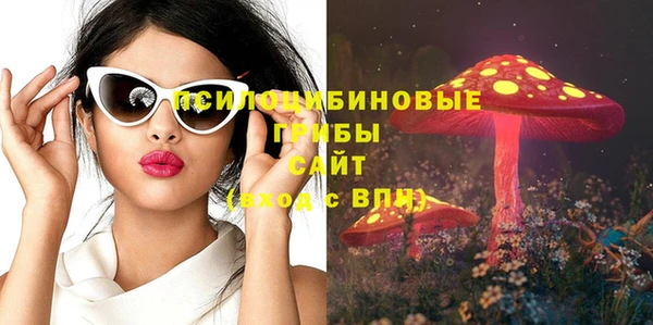 шишки Балахна