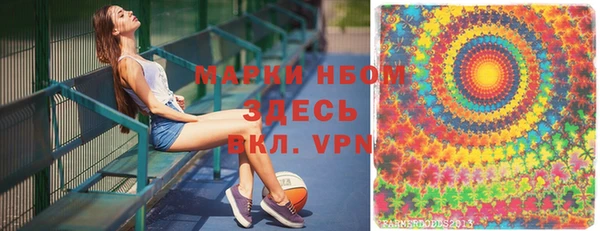 шишки Балахна