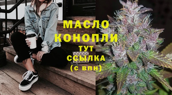 шишки Балахна