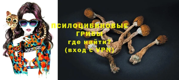 твердый Арсеньев